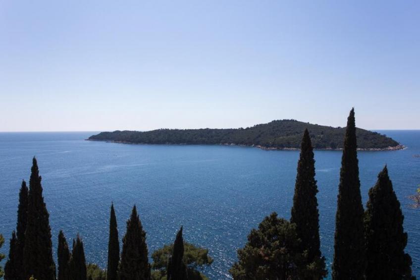 Apartments Villa Ari - Superior Studio Apartment with Terrace and Sea View (First Floor) - foto 10