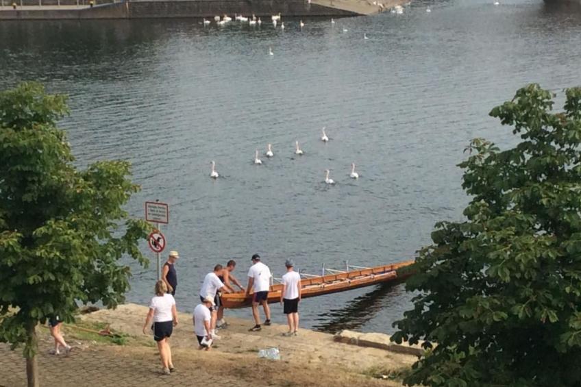 Einzigartige Lage direkt Mosel und Radweg. - foto 13