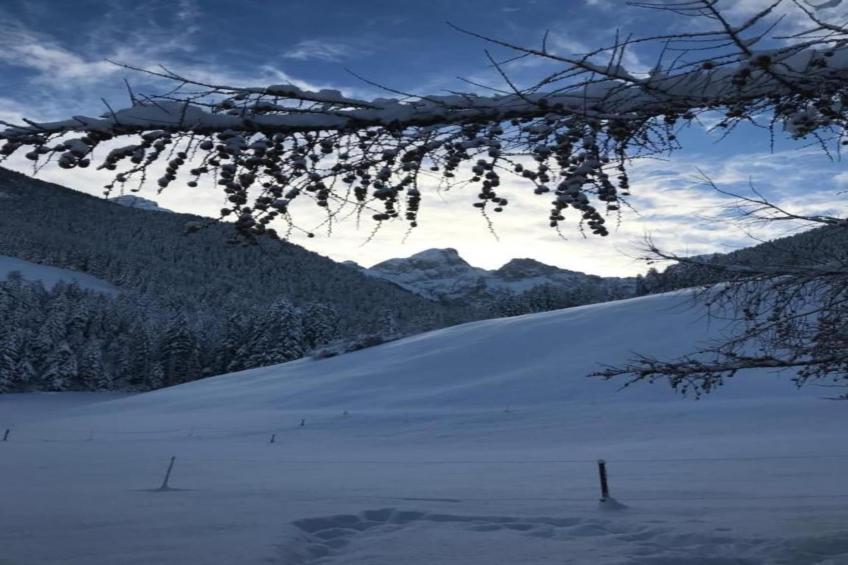 Luxurious Alpine Flat With Hotel Amenities - foto 40