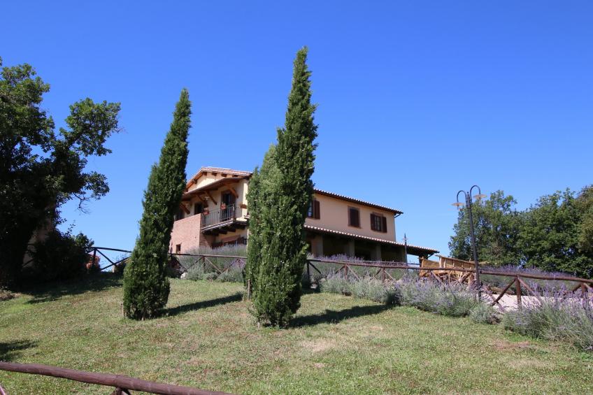 Castagneto - foto 11