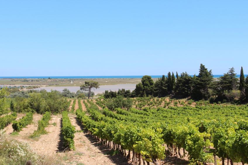 Maison Bleu - foto 21