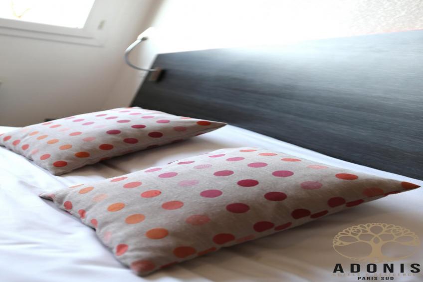 Adonis Paris Double Studio - foto 27