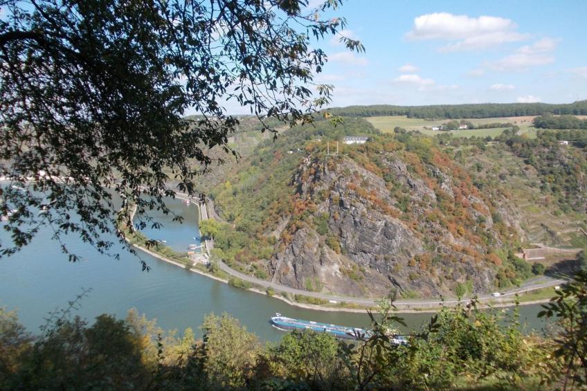 mit Balkon und Rheinblick - foto 16