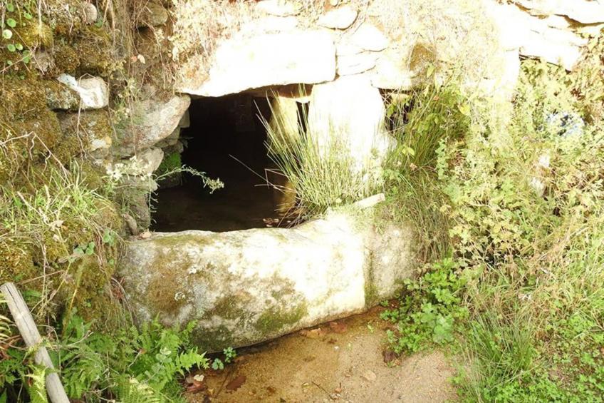 Ferien auf dem Bauernhof mit Weinberg - foto 37