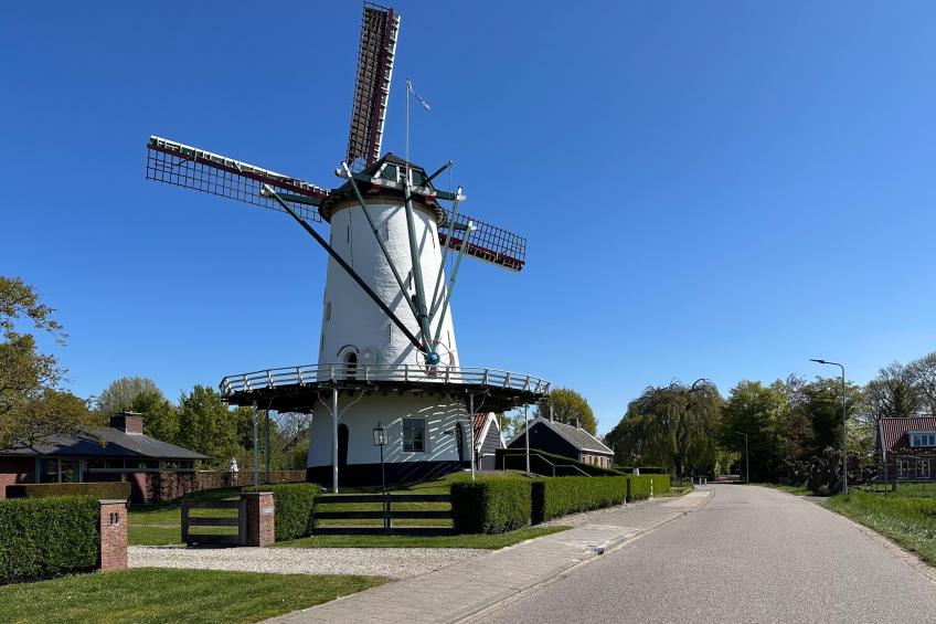 Zout en Peper - foto 35