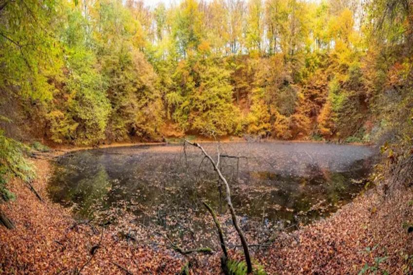 Am Ferienhof - foto 15