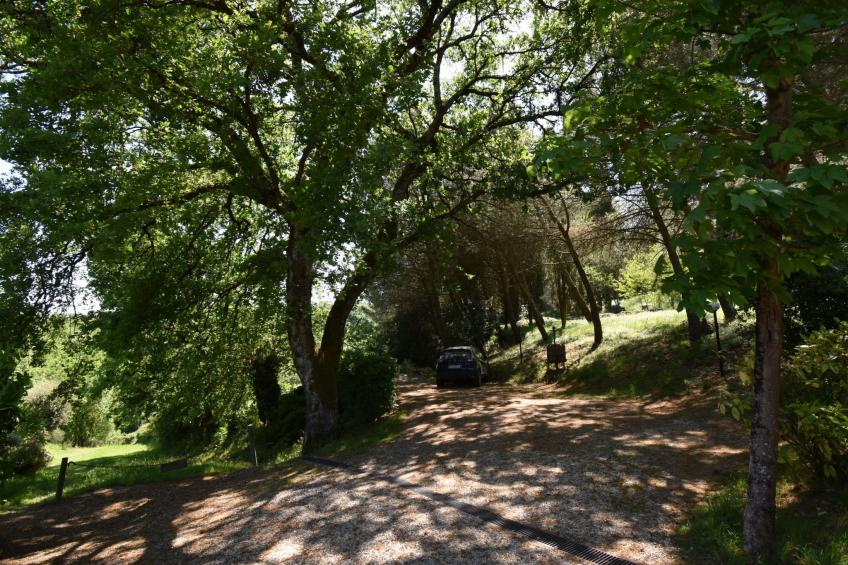 Wohnung in Bauernhaus mit großem Garten, Schwimmbad - foto 61