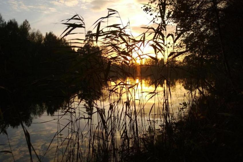 Les Sittelles - foto 29