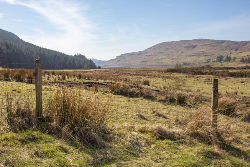 Blue Lobster - foto 43