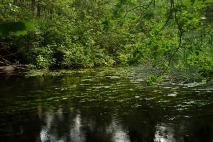 Turmwohnung - foto 20