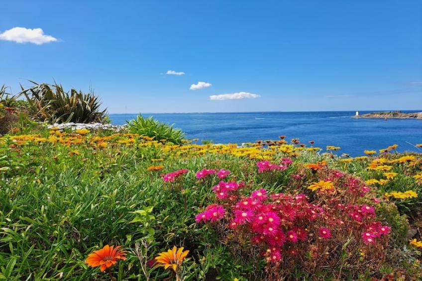 Vakantiehuis, Plozévet - foto 34