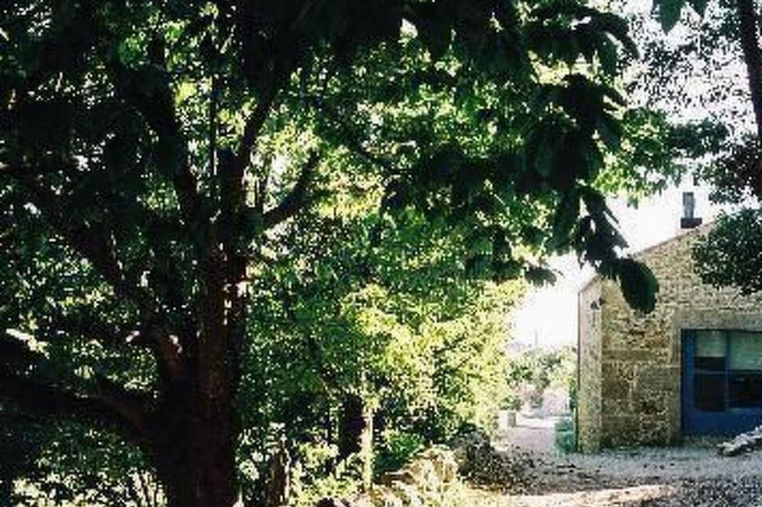 NATUR IN IHRER REINSTEN FORM - foto 11