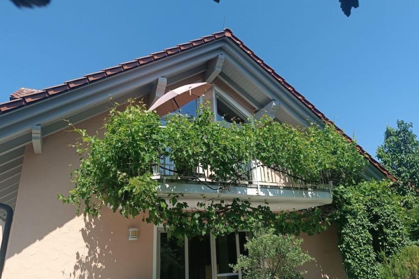 589636 - foto 4