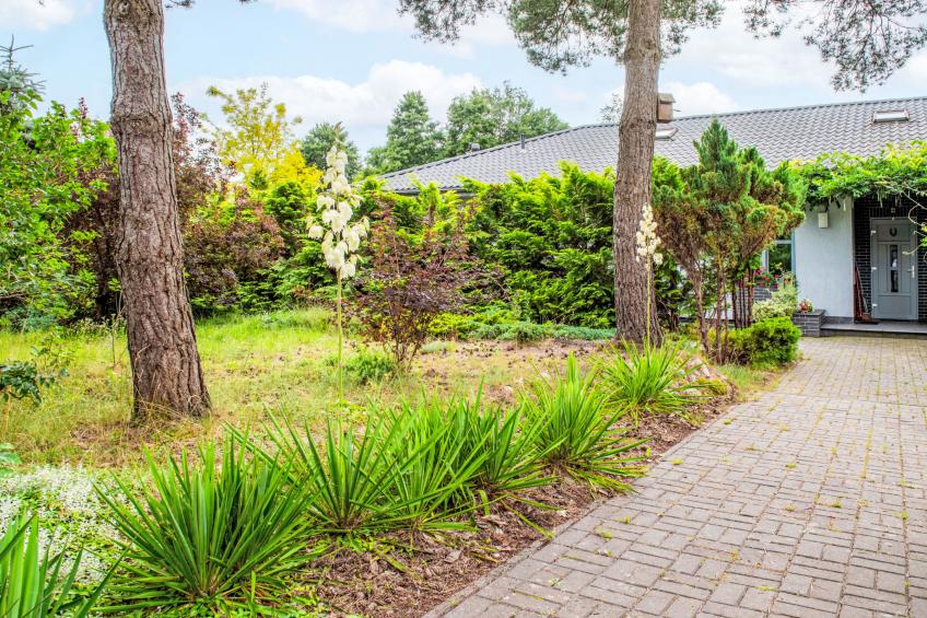 Głęboczek 1 - foto 18