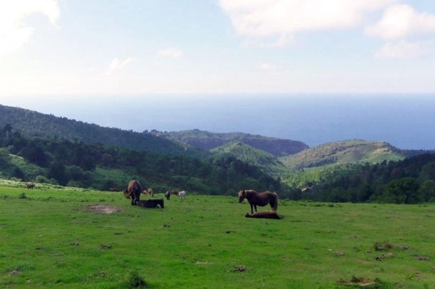 Fewo mit Terrasse - foto 16