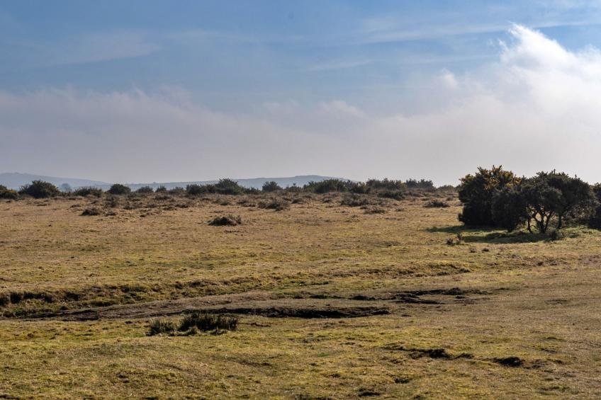 Jubilee Cottage at Bodmin Moor - foto 24