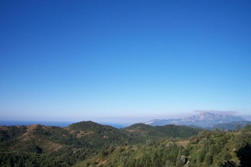 Kleines feines helles Appartment im Gruenen mit Meerblick - foto 6