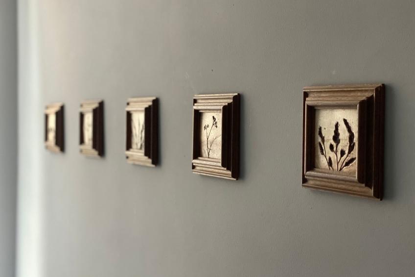 Gemütliche Wohnung in Hameln mit Garten - foto 13