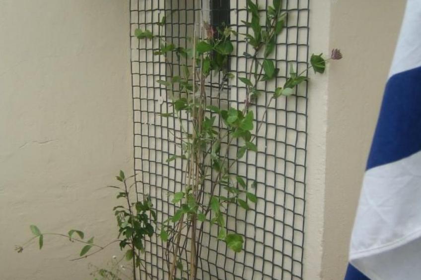 Möbliertes Studio Agachadou 25m2 mit 3 Terrassen 36m2 - foto 40