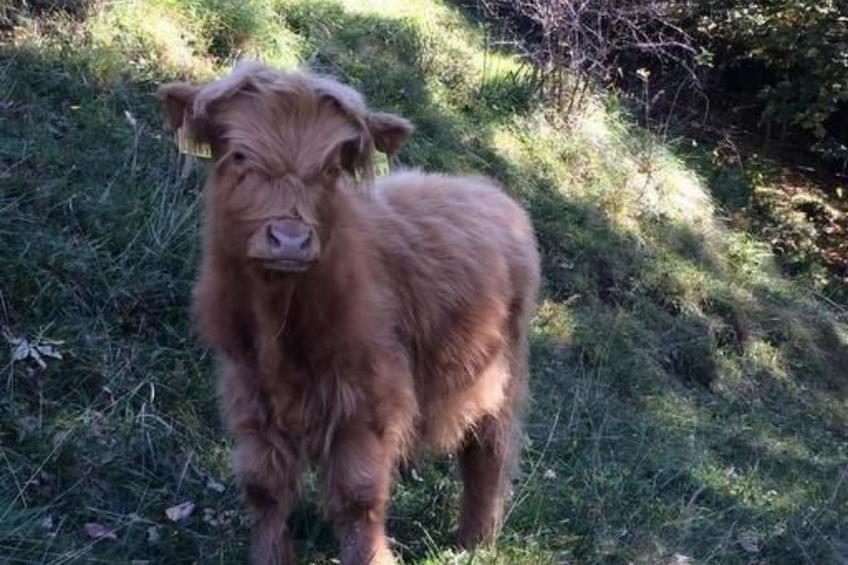 Casa al Vento - foto 47