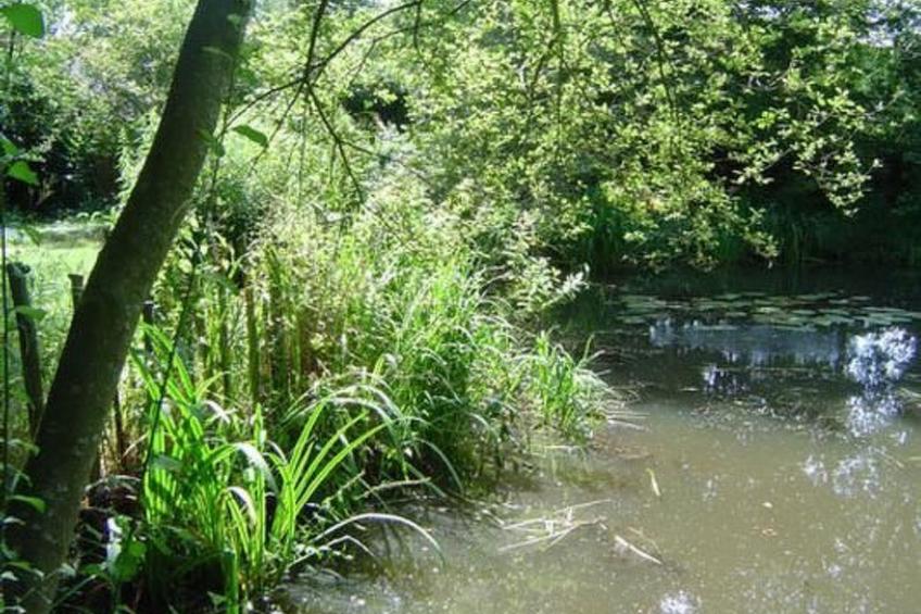 im Ammerland - foto 15