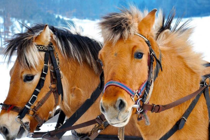 mit Wasserblick - foto 19