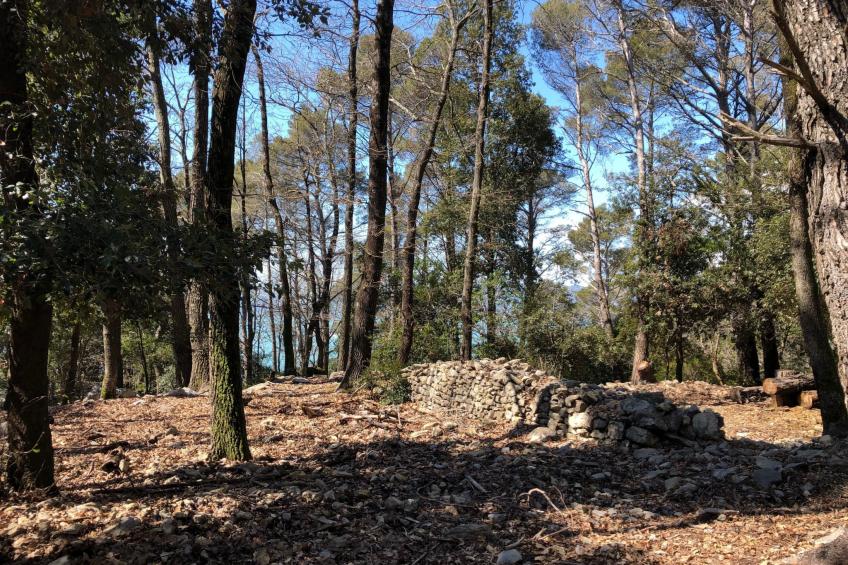 Mago in Ameglia - foto 7