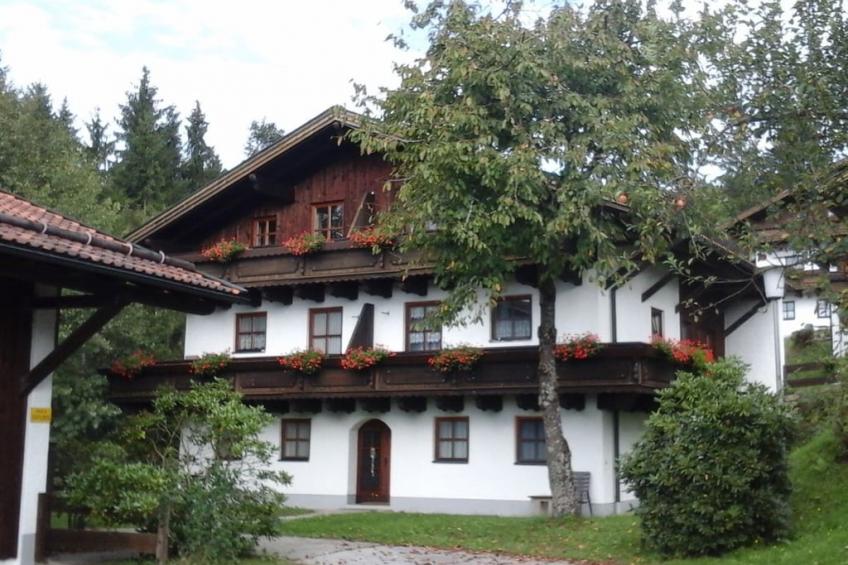 187399 - foto 3