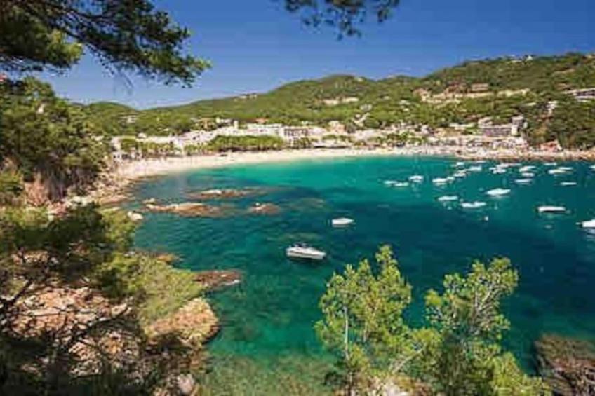 Mas Pinell 44 - foto 31