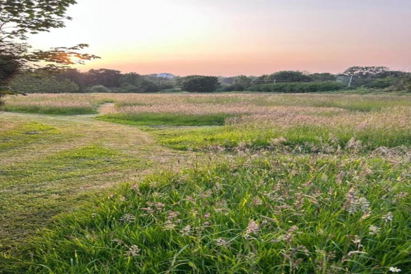 Le Manoir de Coatanscour - foto 37