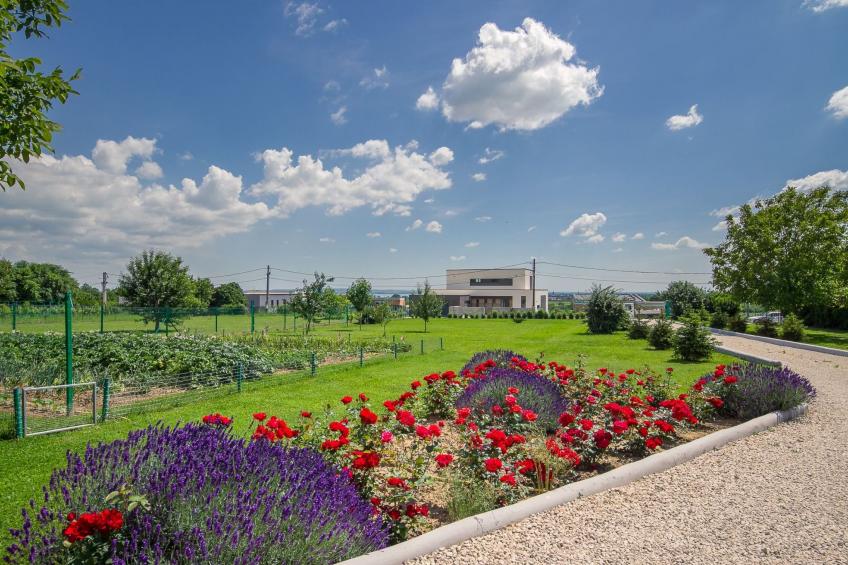 auf großem Gartengrundstück - foto 21