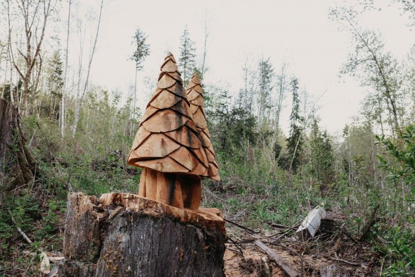 Cabin 58 Ultra Chic mit fantastischem Bergblick - foto 22