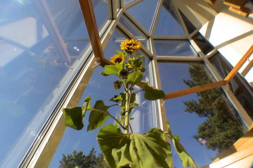 Wellness Ferienhaus Branzez mit Innenpool, Sauna.. - foto 14