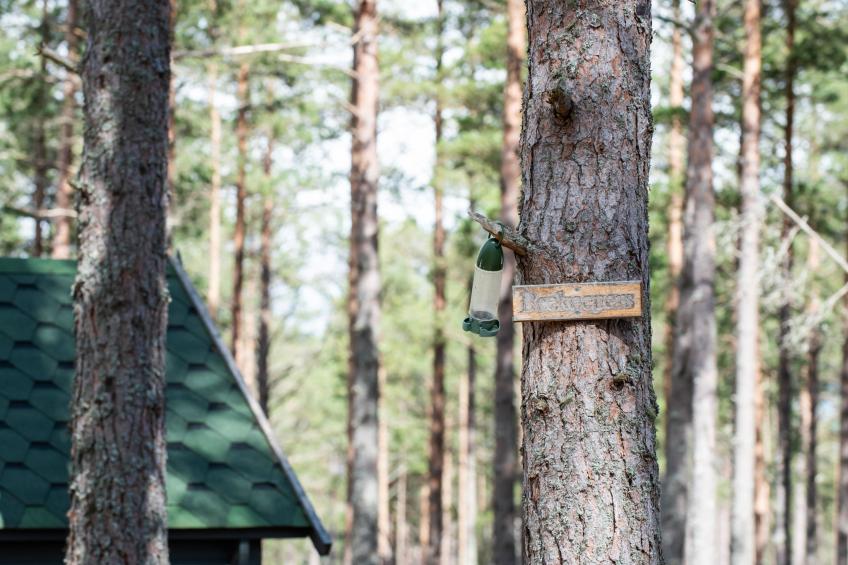 Beekeepers Bothy - foto 9