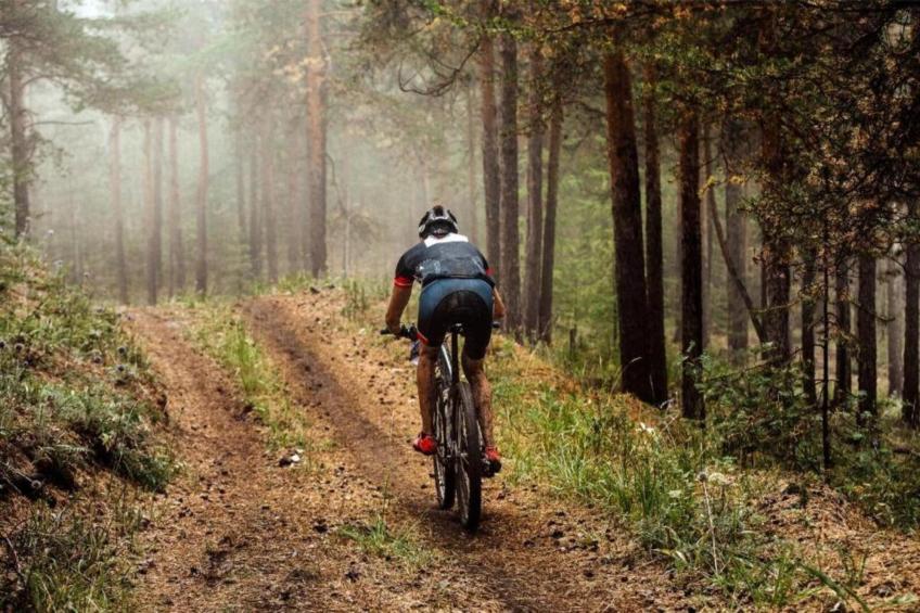 Buitenplaats Holten 20 - foto 38