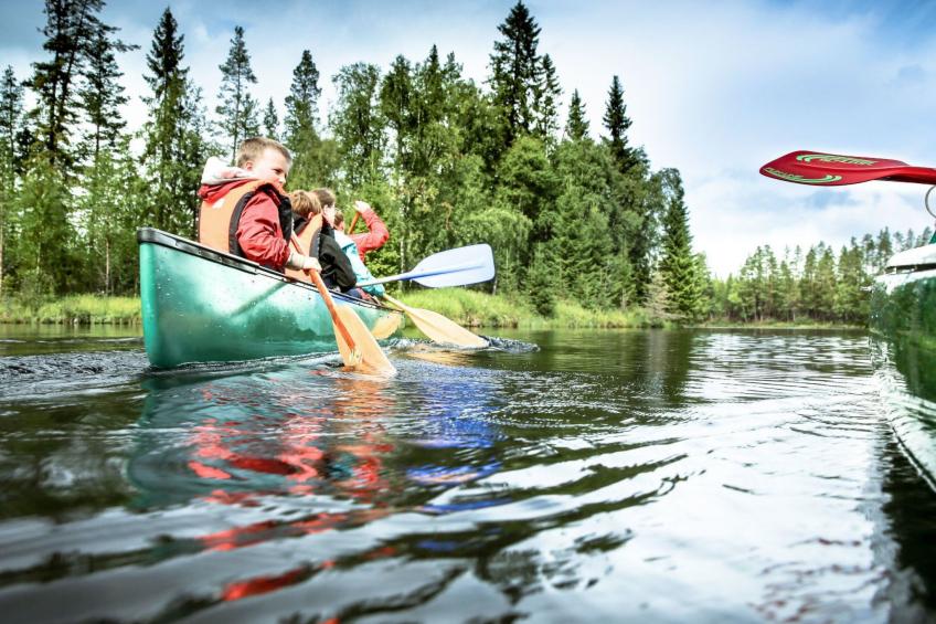 Charmantes Blockhaus, Sauna und Kamin - foto 13