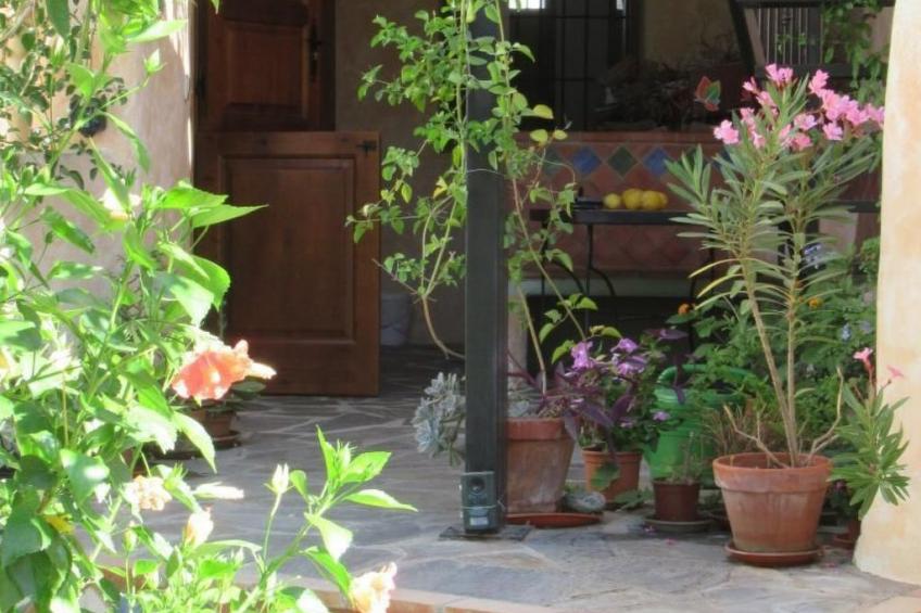 Eine Oase der Ruhe mitten in der Stadt - foto 27