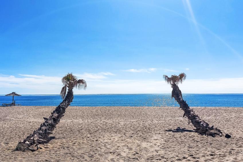 Les Marquises - foto 70