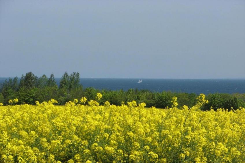Sommerglück - foto 37
