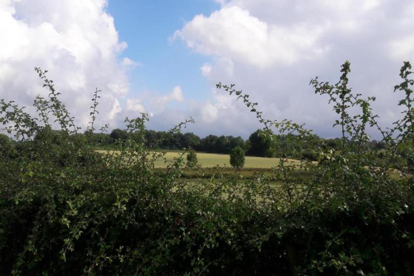 Resort Gulpen 4 - foto 34