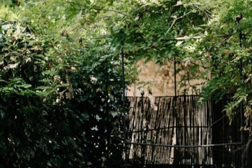 84b7 - Logement Dans Mas De Charme Du Xviiième Siècle - foto 30