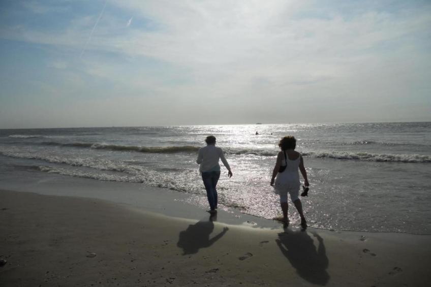 Resort Beach Houses Wijk aan Zee 3 - foto 33