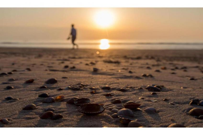 Résidence Wijngaerde - foto 16