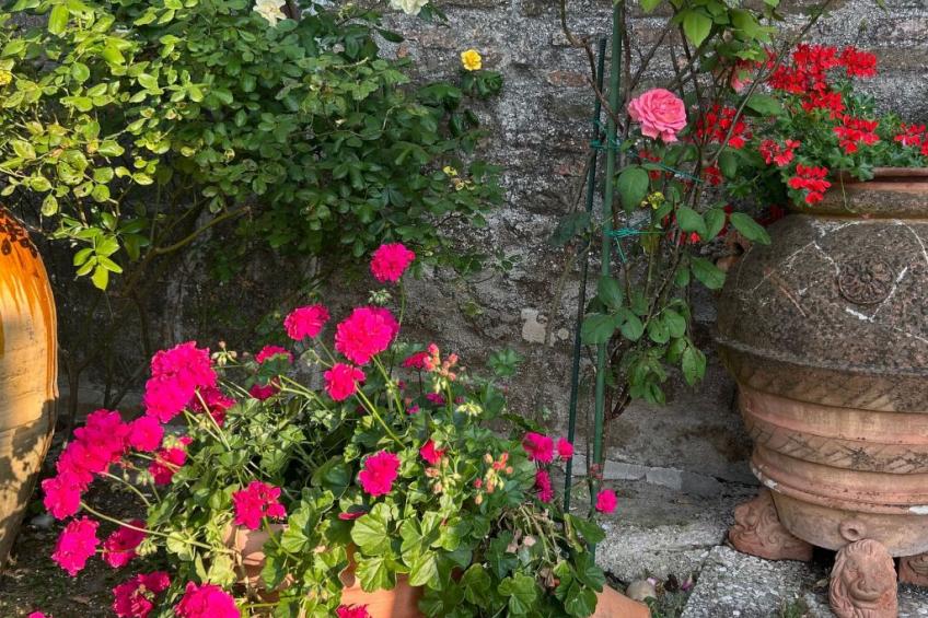 Bauernhaus Santa Maria del Monte - foto 33