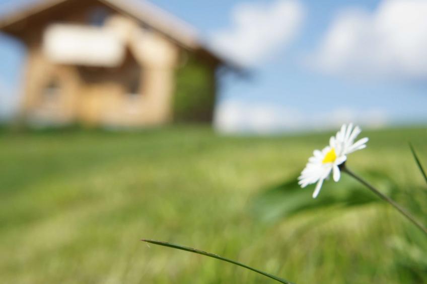 Hoizhaus am Badlberg - foto 13