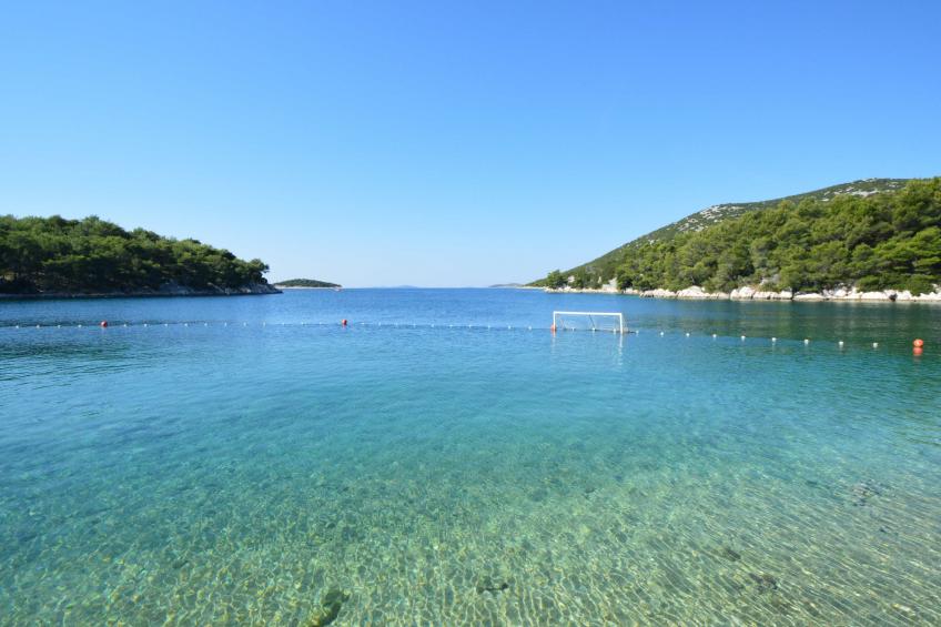 Gušt - foto 28