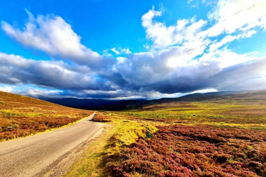"Der Kornspeicher" mit Terrasse - foto 63