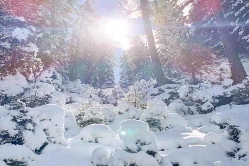 Apartment 13 - foto 6