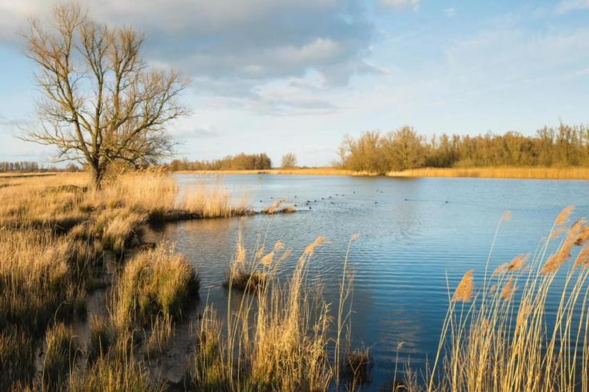 Vakantiepark Latour 8 - foto 35