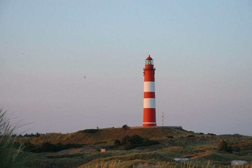246261 - foto 11